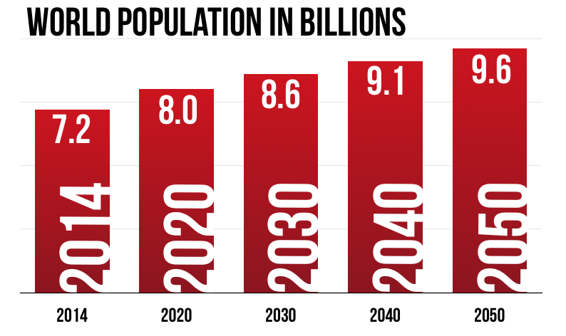 Essay on World Population Growth