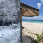 D82A50D9-D9FB-4C4F-987B-5E5E7FA7858A