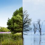 climate-change-concept-collage