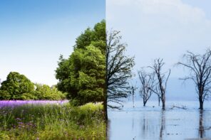 How Climate Change Affects the Global Economy